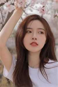 美人为馅1季免费观看
