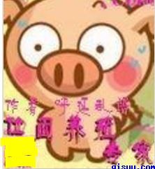 yuihatanohd