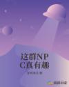 开封府演员表