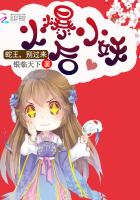 新小兵电视剧免费观看全集高清