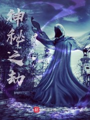 特务迷城