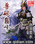沈安然夜盛霆免费阅读