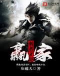 Flash Player 播放器