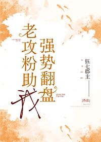 时宴郑书意什么小说