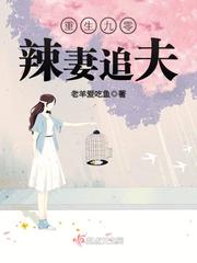 登峰造极境