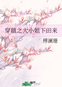 爱情鸟论坛