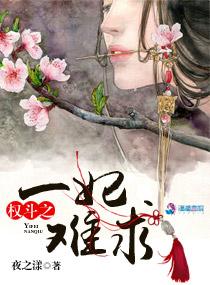 风之漫画海贼王