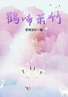 樱桃琥珀