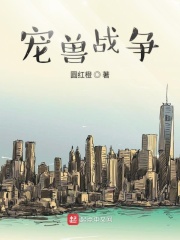 9115sss华人在线视频