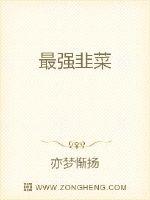宋天明三个婆娘