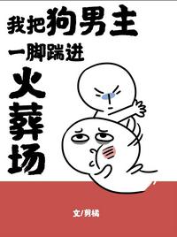 2024年电视剧排行