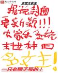 加菲猫多少钱