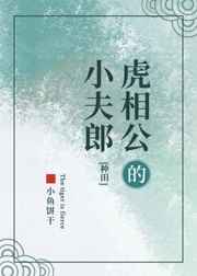 打扑克的全程视频