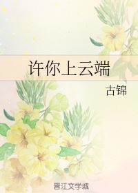 蜘蛛侠:平行宇宙 动画片