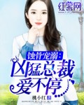 倚天屠龙记txt下载