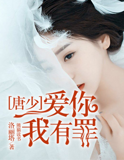 嫡妻二嫁明月珰