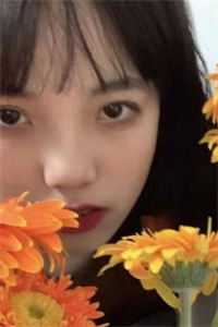 大漠神枪