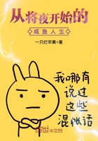 神龟岛