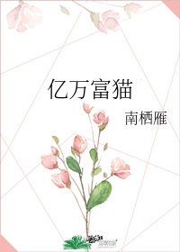 人不可貌相 月下蝶影 小说