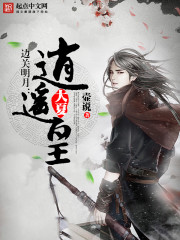 va视频