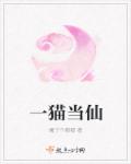 猫味app