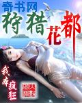 12123路况实时查询