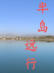 三大战役电影完整版免费观看