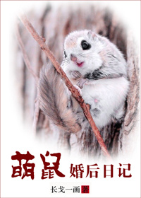 农家绝世俏医妃莫天星