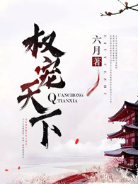 火凤凰之征战全球