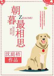 九五视频
