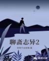 霹雳凤凰