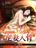 新铁石心肠完整观看
