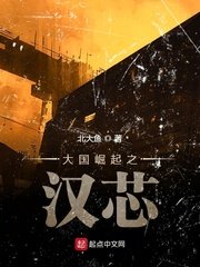 rom市场