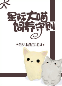 kw7142情趣内衣表演