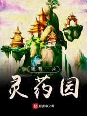 3d布衣天下图库精华版