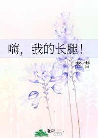 火车软卧图片全景