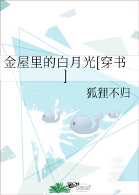 盾之勇者成名录小说
