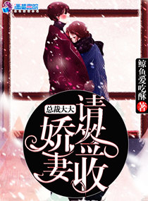 红楼梦h
