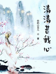 梅花香电视剧免费观看
