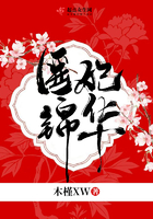 来夜方长咖喱乌冬面