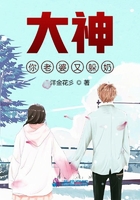 银砂糖师与黑妖精