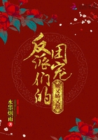 王思宇小说