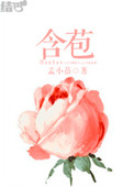 a v 淘宝