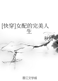 深大内部网荔园晨风