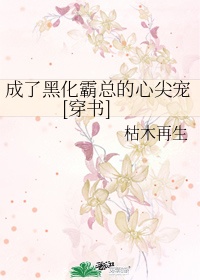 17173视频极致诱惑