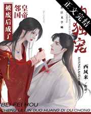 后进式24