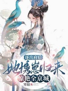 538pom视频最新版