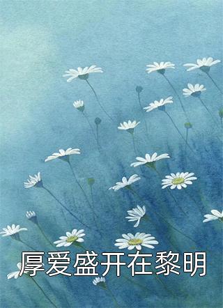 冬天的柳叶的全部小说