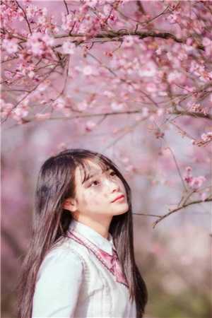 超级神基因txt下载
