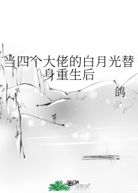 法国情人